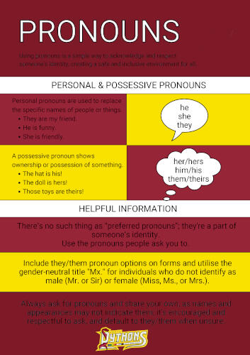 Pronouns Poster