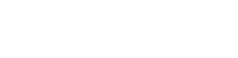 Voodoo Hockey